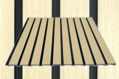 WS-WPC-0009