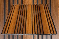 WS-WPC-0092